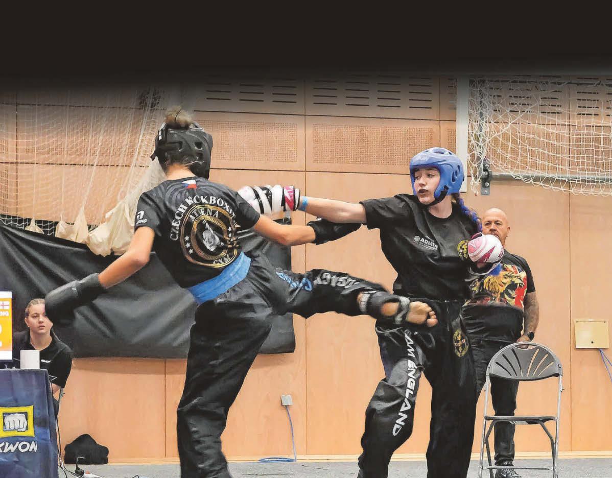 Fighters get their kicks at world championships