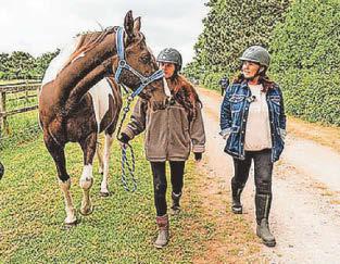 ANIMAL FAN COLEEN NOLAN IN BLUE CROSS APPEAL PLEA