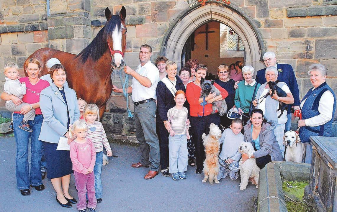 Animals took up the pews for special church service!