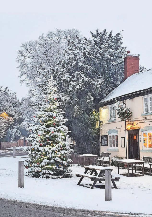Village gets set to shine