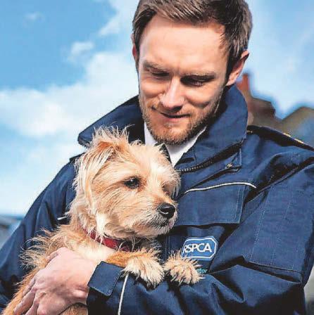 ‘Times are tough and innocent animals are the ones paying the ultimate price’