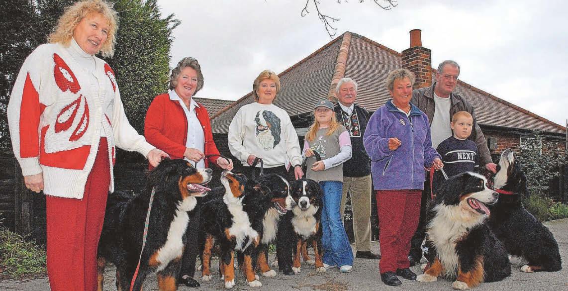 Dogs came together for special Christmas show!