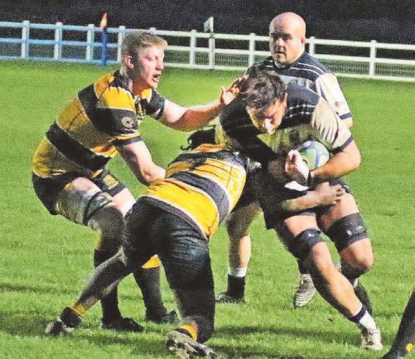Treble for Pohe as Crofters see off battling Derby