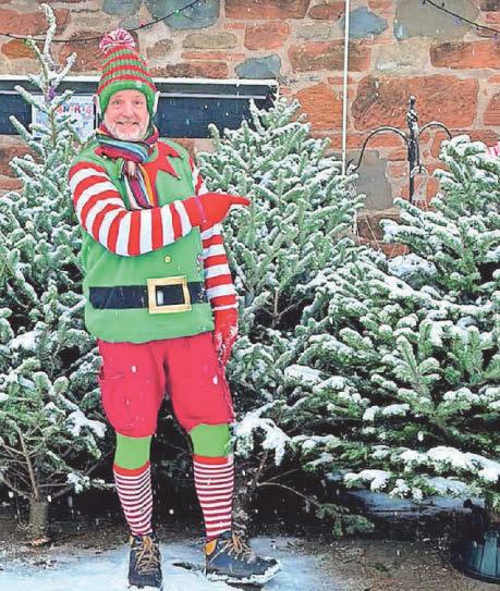 Christmas tree rentals getting more popular to reduce waste!