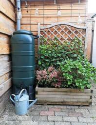 HOW WILL YOUR GARDEN GROW?