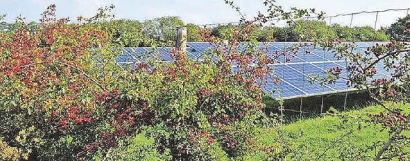 Solar farm plans on fields and grassland set to get go-ahead