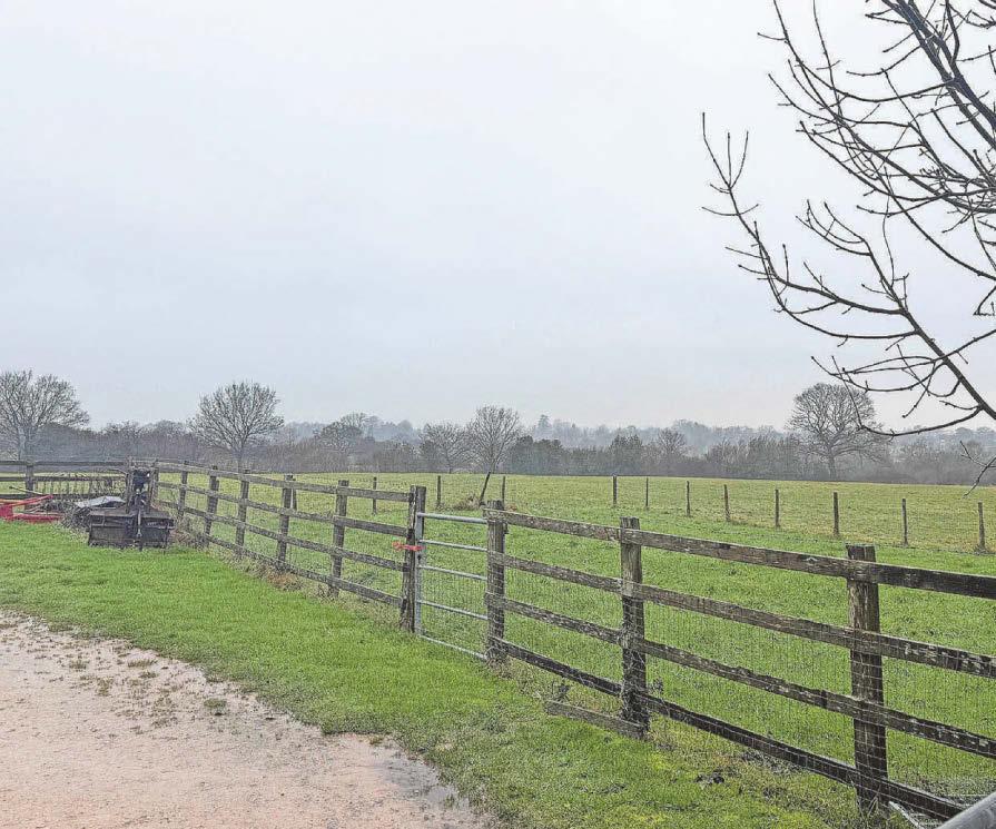 Plans for 295 new homes on open land