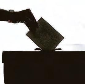 No turquoise rout as parties share borough election wins