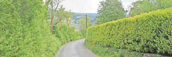 Suspected organisers of 'illegal rave' arrested