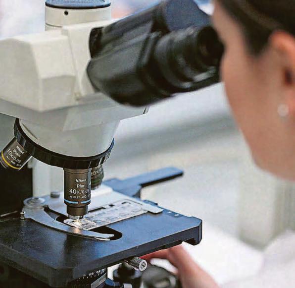 Cancer deaths down but cases of disease in last 50 years have risen by a half