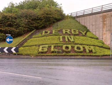 Blooming shame as iconic city hedge display has disappeared