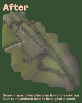 Work to improve river will have Atlantic salmon leaping for joy