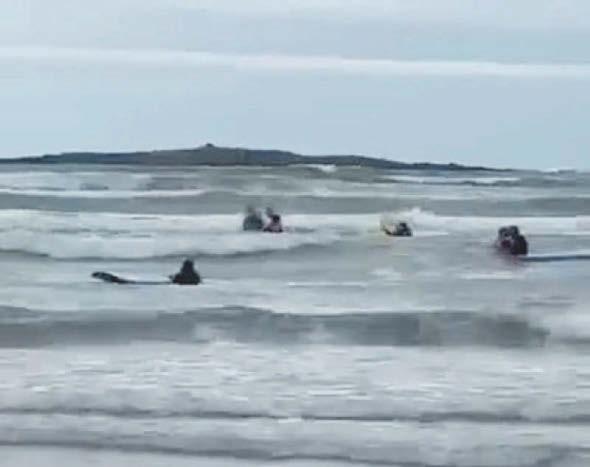 'I thought I was going to drown,' says mum who 'managed one final scream' in surfing accident