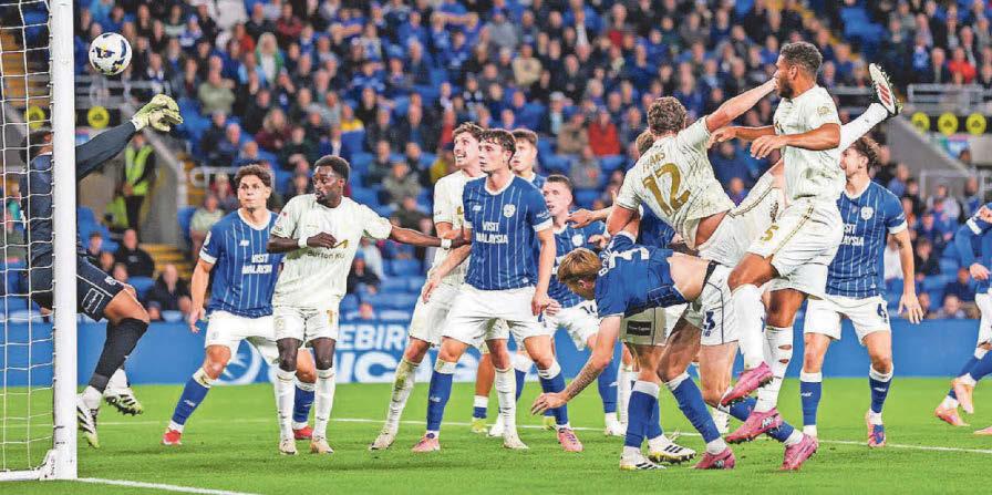 Albion are up off the floor to bounce back with stunning win as Charlie floors Cardiff