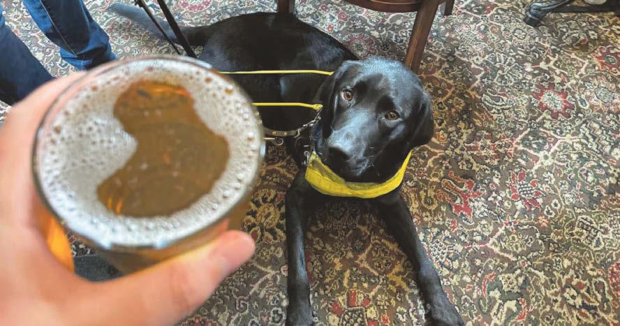 Pub's support for visually-impaired regulars brings in enough to train black lab Brunny