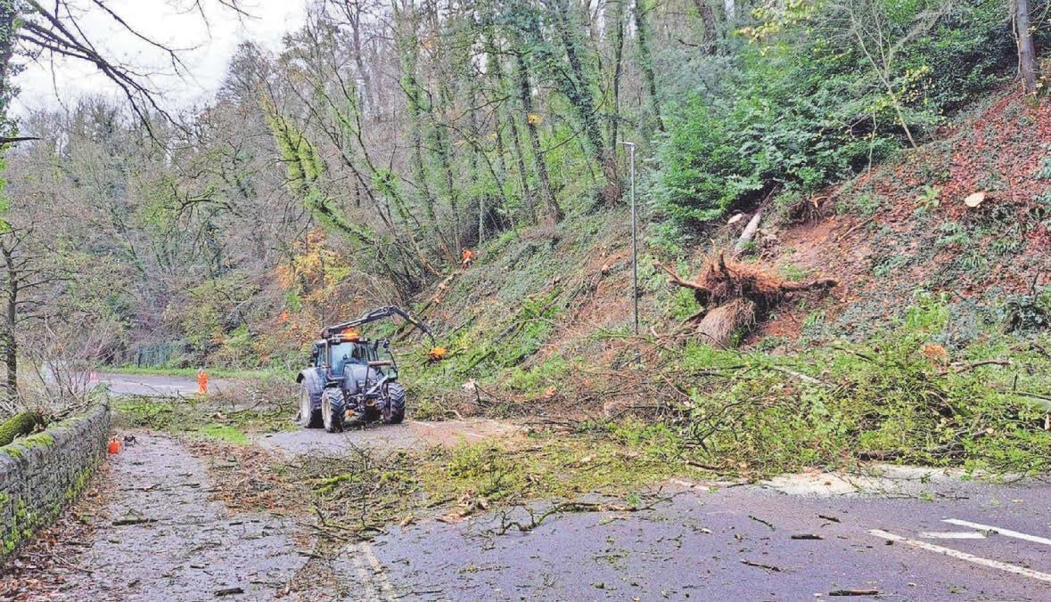 Removal of trees posing 'unacceptable' risk could close major road all week