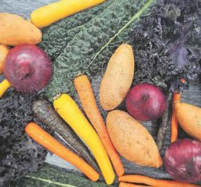 Boom in demand for brightly-coloured veg as people ‘eat the rainbow’