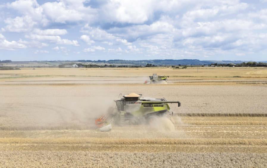 How much are our farmers at risk from buying behaviour of supermarkets?