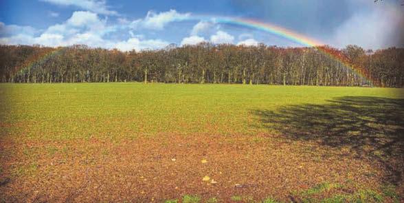 Urgent call for Government to review plan for 250 new homes