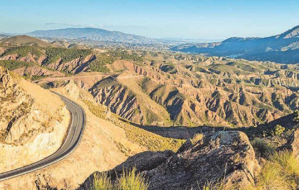 Step right up for winning walks