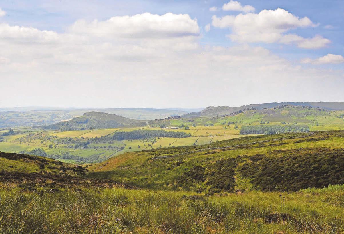 Green shoots of recovery set to hit parts of Peaks