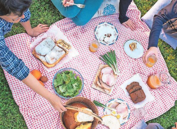PICNIC SAFELY