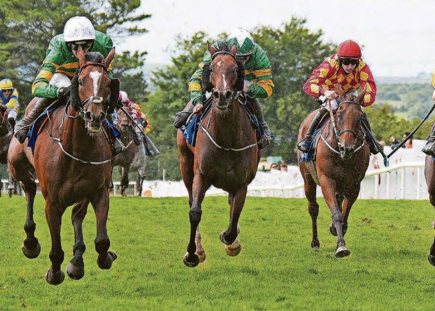 Perceval in the National and Wallpark in Liverpool Hurdle