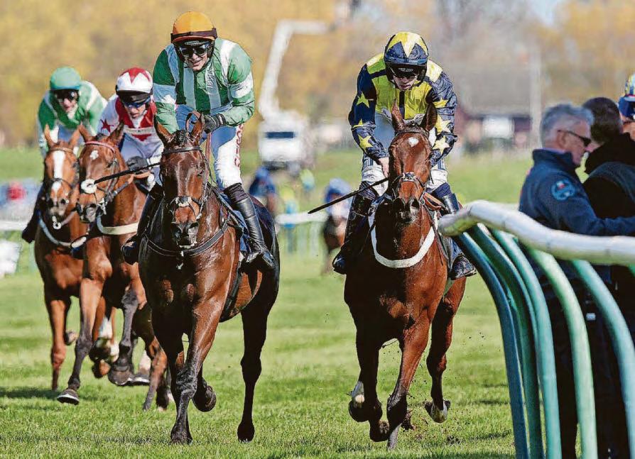 Macdermott can win the Scottish National again