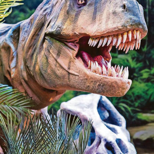 Roar-some dinos on tour