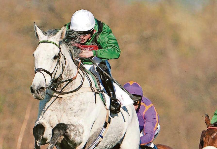 Numitor to reign again in Haydock Veterans' Chase