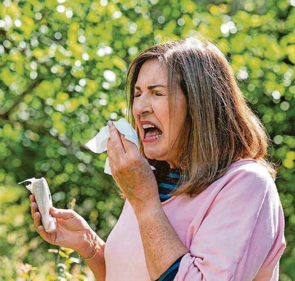 Fertilised grass may be hay fever trigger