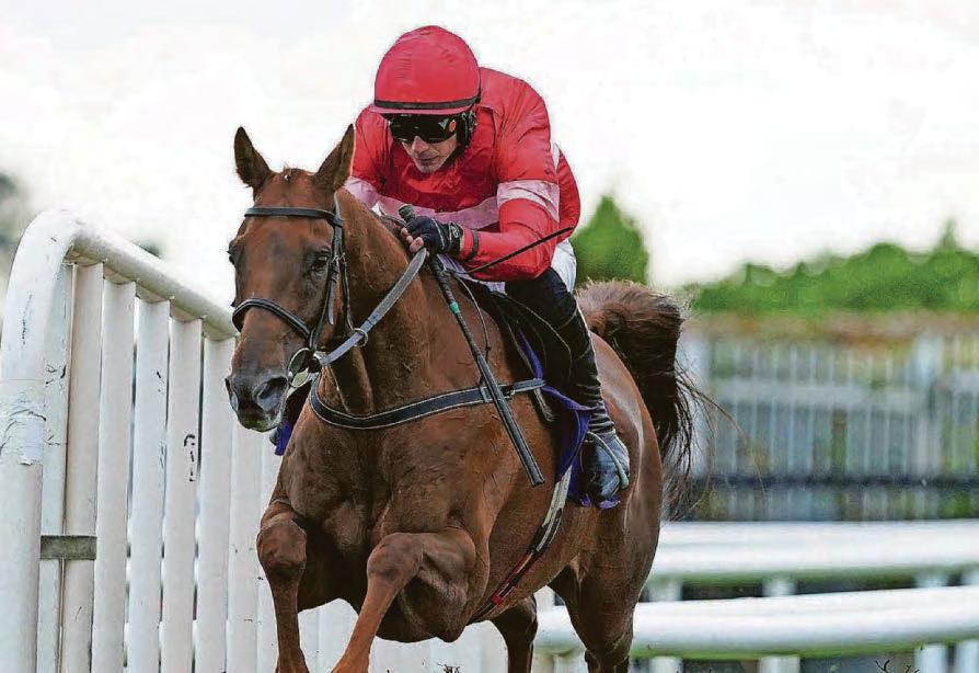 Hero set to strike Gold and Ramazan to win at Haydock
