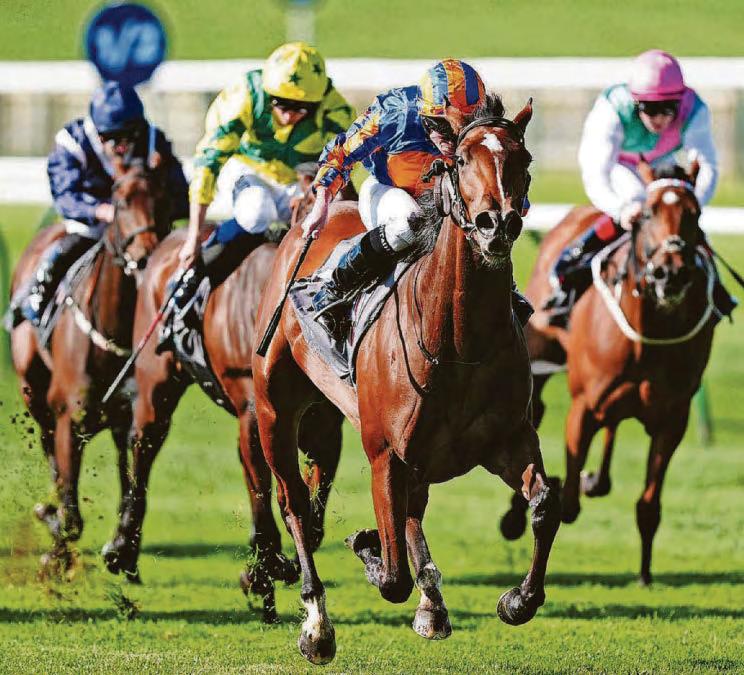 Expanded to win 2,000 Guineas at Newmarket