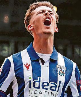 Next Albion boss is key to unlocking potential