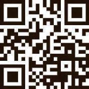 MAAC team goes distance in forest running festival