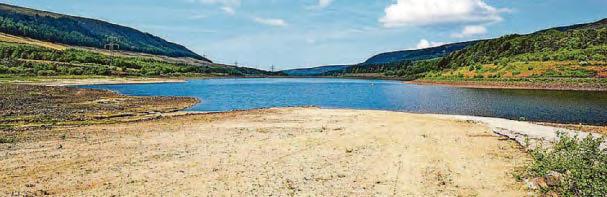 Water company says hosepipe ban unlikely