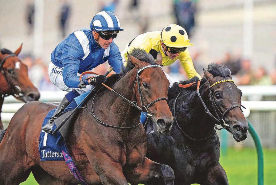 Alyanaabi is one to beat in the John Of Gaunt Stakes