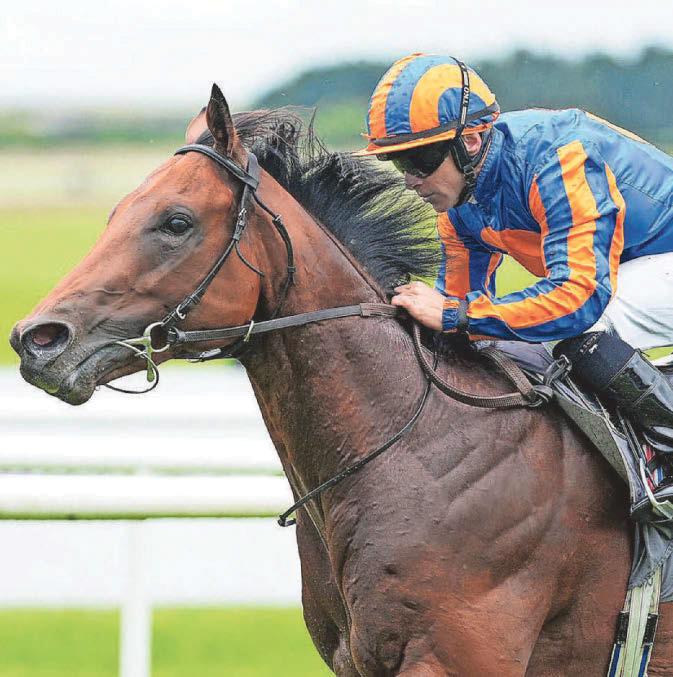 The Lion In Winter to roar to Derby victory at Epsom