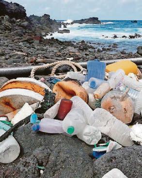 UK under pressure to step up marine protections