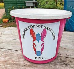 Donkeys find loving home as site grows