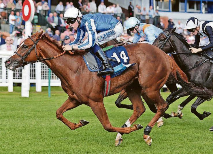 Star Of Mehmas to win the Scurry Stakes at Sandown