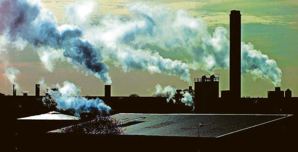 City is still committed to net zero - Cotton