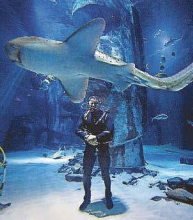 Snakes, sharks, sneaky hippos... wildlife is my safe space