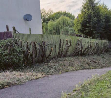 Drastic council action to chop hedge sparks anger