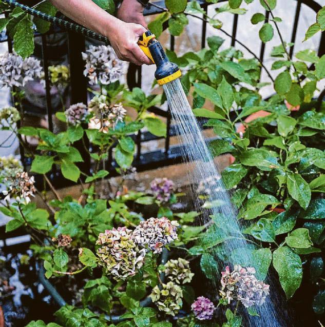 Plea to be 'water wise' as scorching weather persists