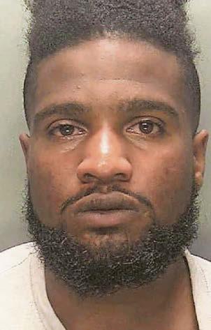 Thug kicked dog in air and strangled his mum