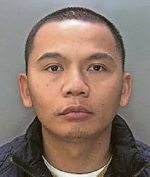 'Businessman' operated a network of cannabis farms