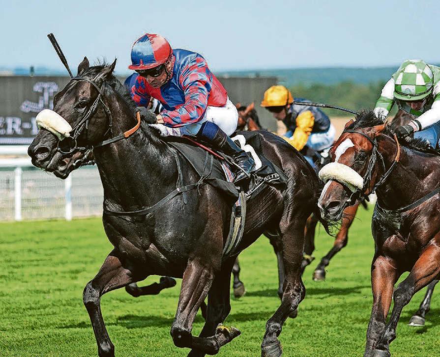 Big Mojo can cause a July Cup shock at Newmarket