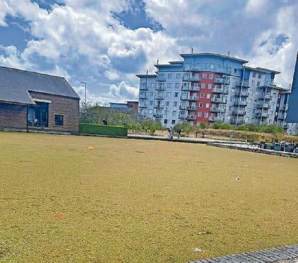 Deceptive duckweed sees people fall into town's canal
