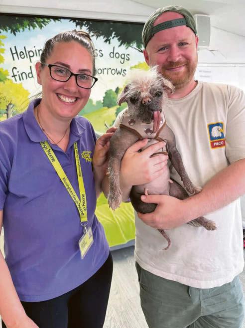 Dogpool is a real Marvel